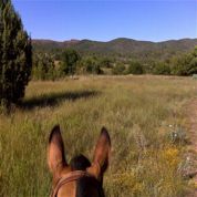 Riding my boy, Nocona, in Round Valley, AZ